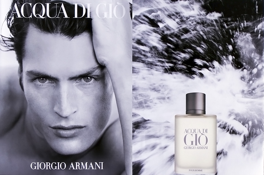 Giorgio Armani Acqua Di Gio Pour Homme ảnh 2