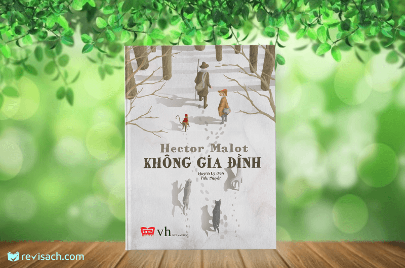 Không Gia Đình ảnh 1