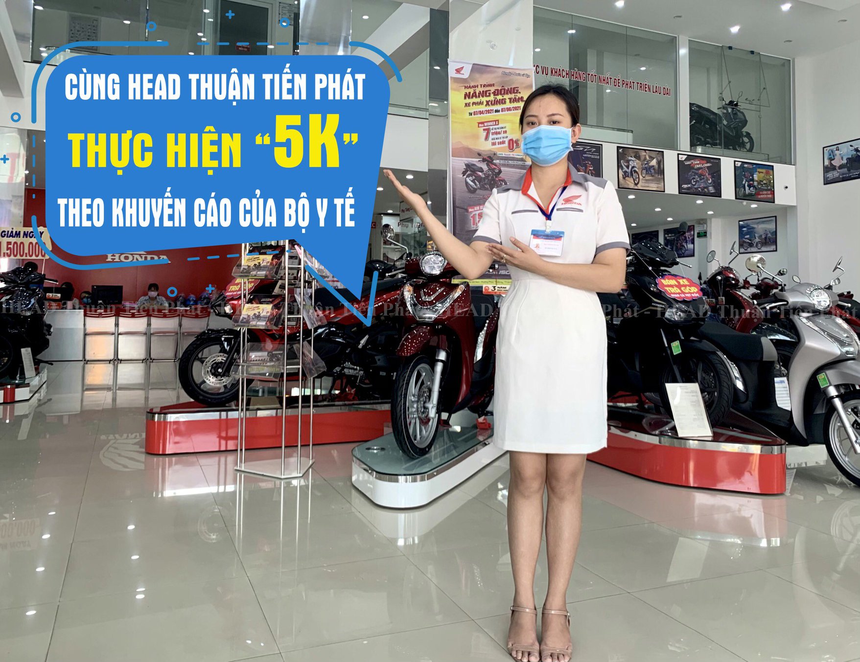 Head Thuận Tiến Phát ảnh 2