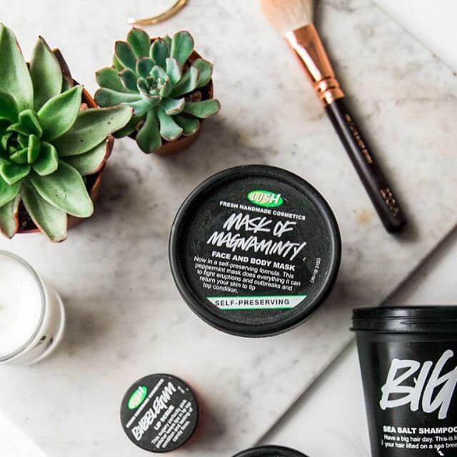 Mặt nạ đất sét Lush Magnaminty ảnh 1