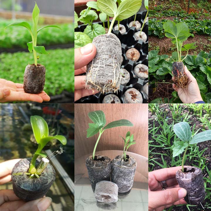 Nơi bán viên nén xơ dừa ở Hà Nội uy tín, giá cả hợp lý