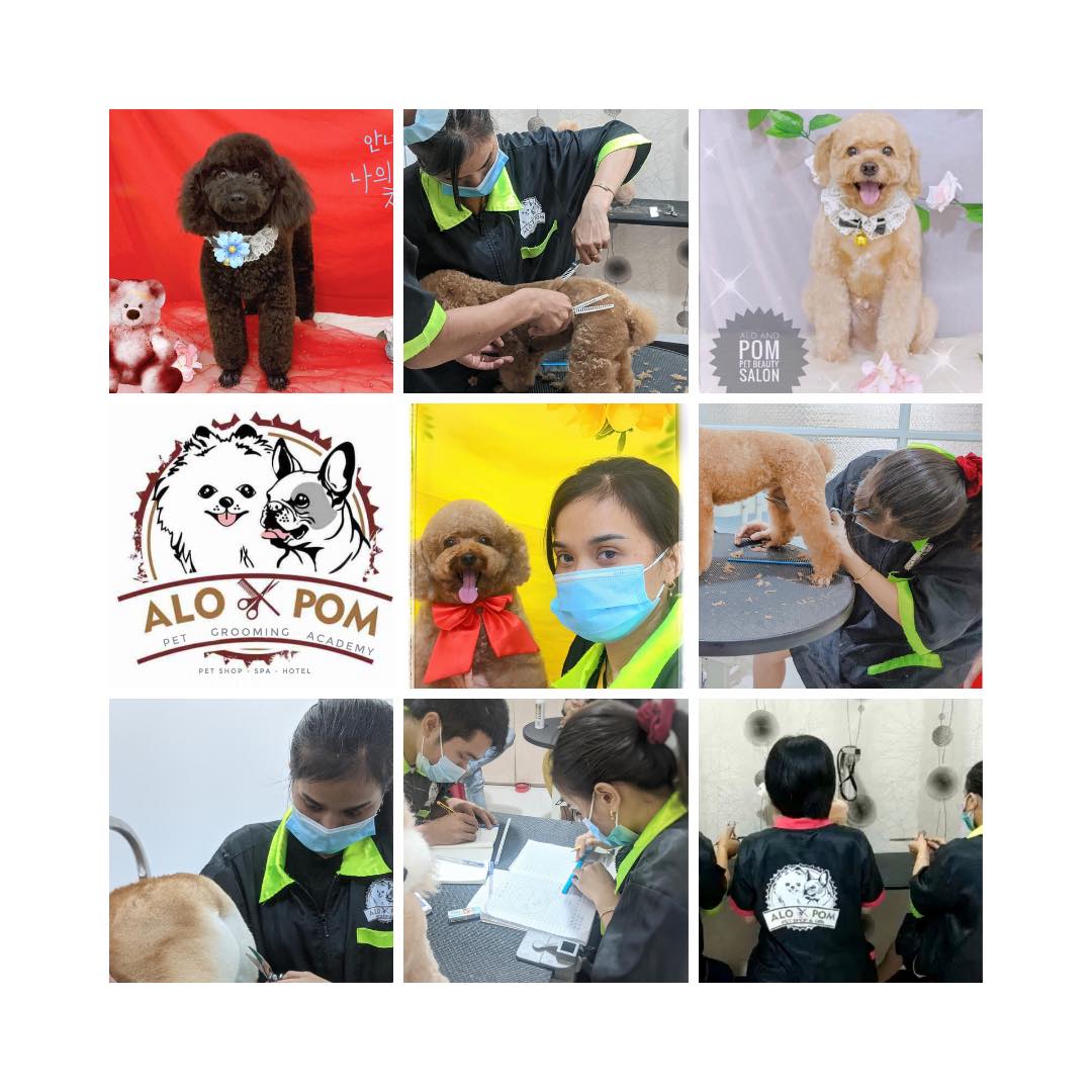 Alo and Pom Pet Grooming Academy ảnh 2