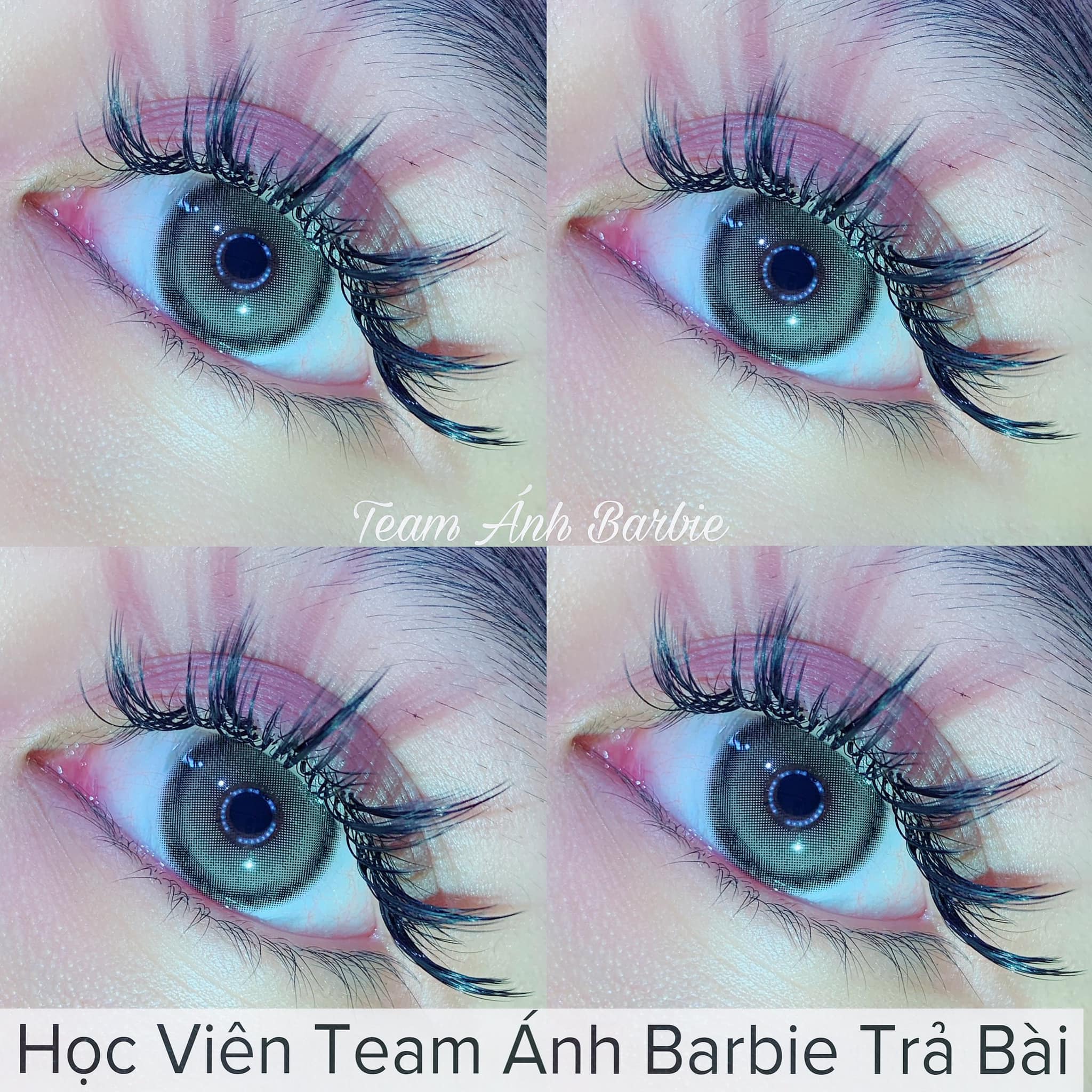 Ánh Barbie Eyelash Academy ảnh 1