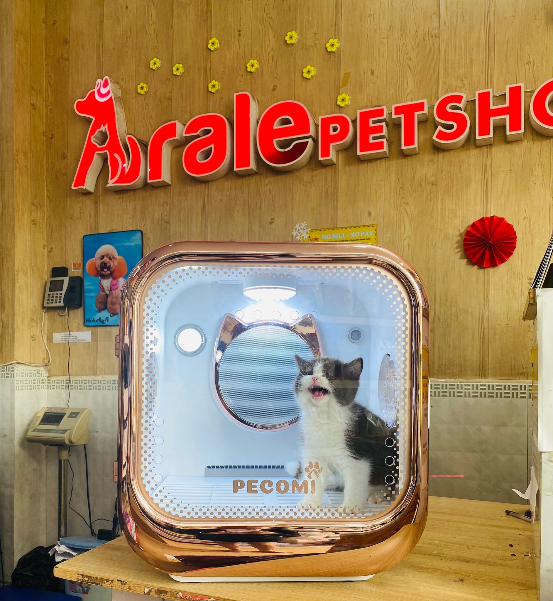 Arale Petshop - Siêu Thị Thú Cưng ảnh 1