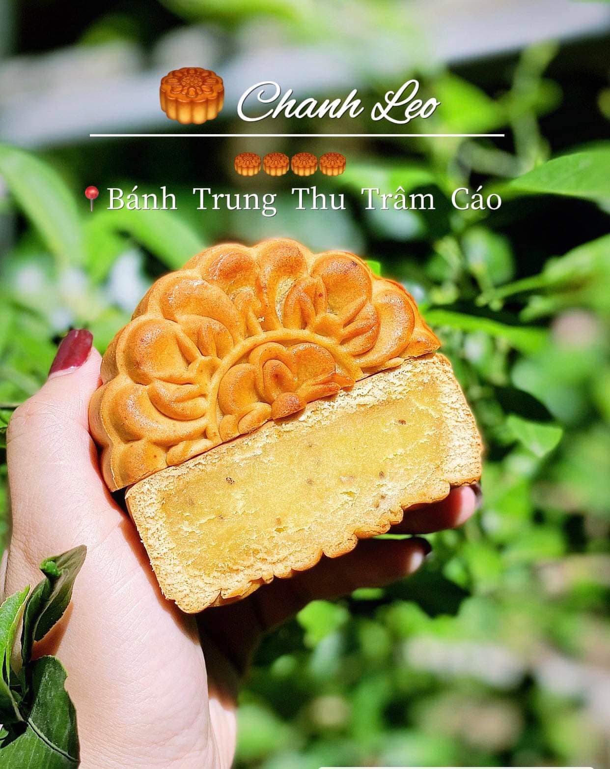 Bánh trung thu Trâm Cáo ảnh 2