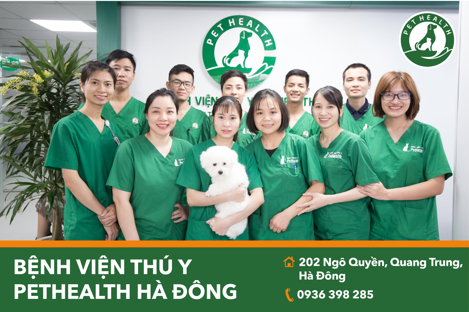 Bệnh Viện Thú Y PetHealth ảnh 1