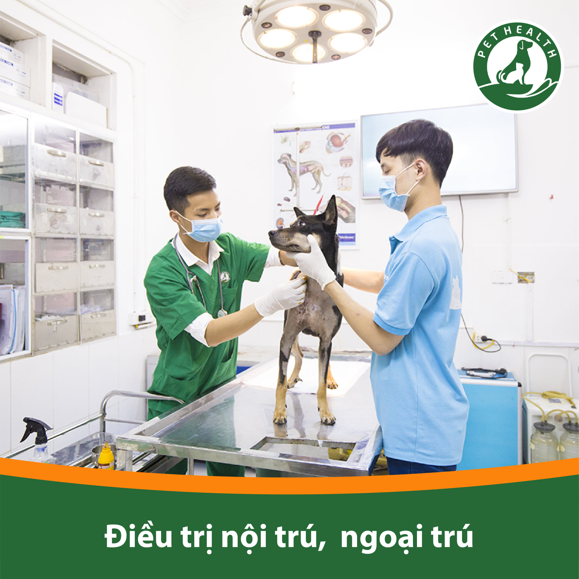 Bệnh Viện Thú Y PetHealth ảnh 2