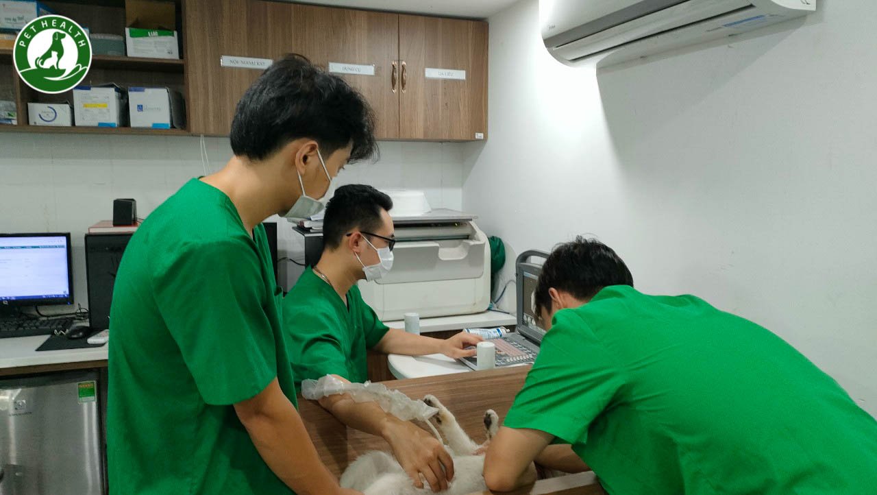 Bệnh Viện Thú Y PetHealth Hai Bà Trưng ảnh 1