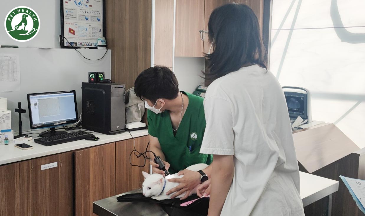 Bệnh Viện Thú Y PetHealth Hai Bà Trưng ảnh 2