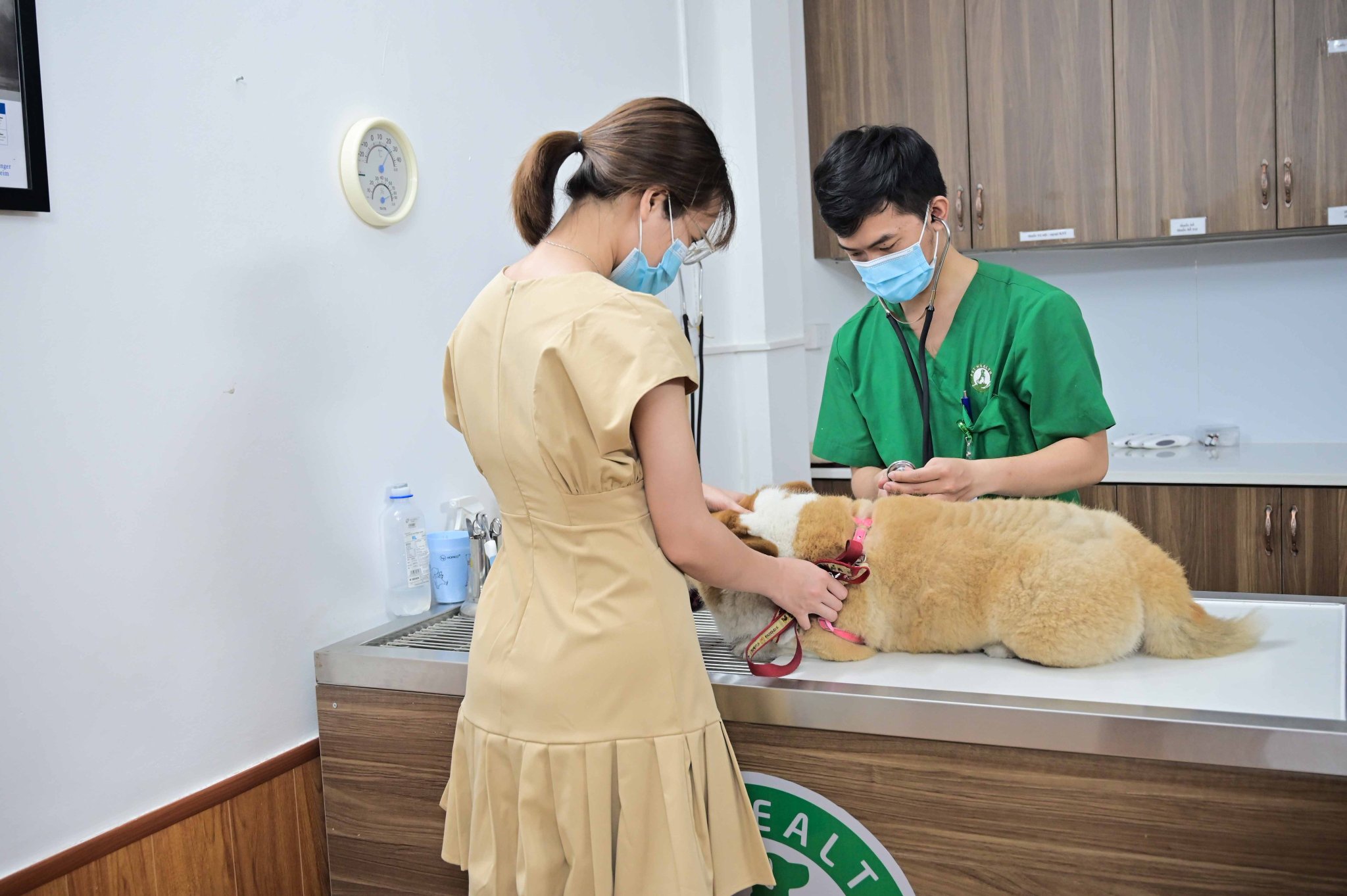 Bệnh Viện Thú Y PetHealth Mỹ Đình ảnh 1