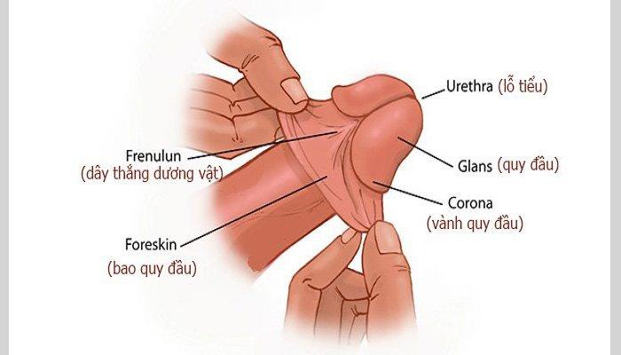 Bệnh viện Đại học Y Dược TPHCM ảnh 2