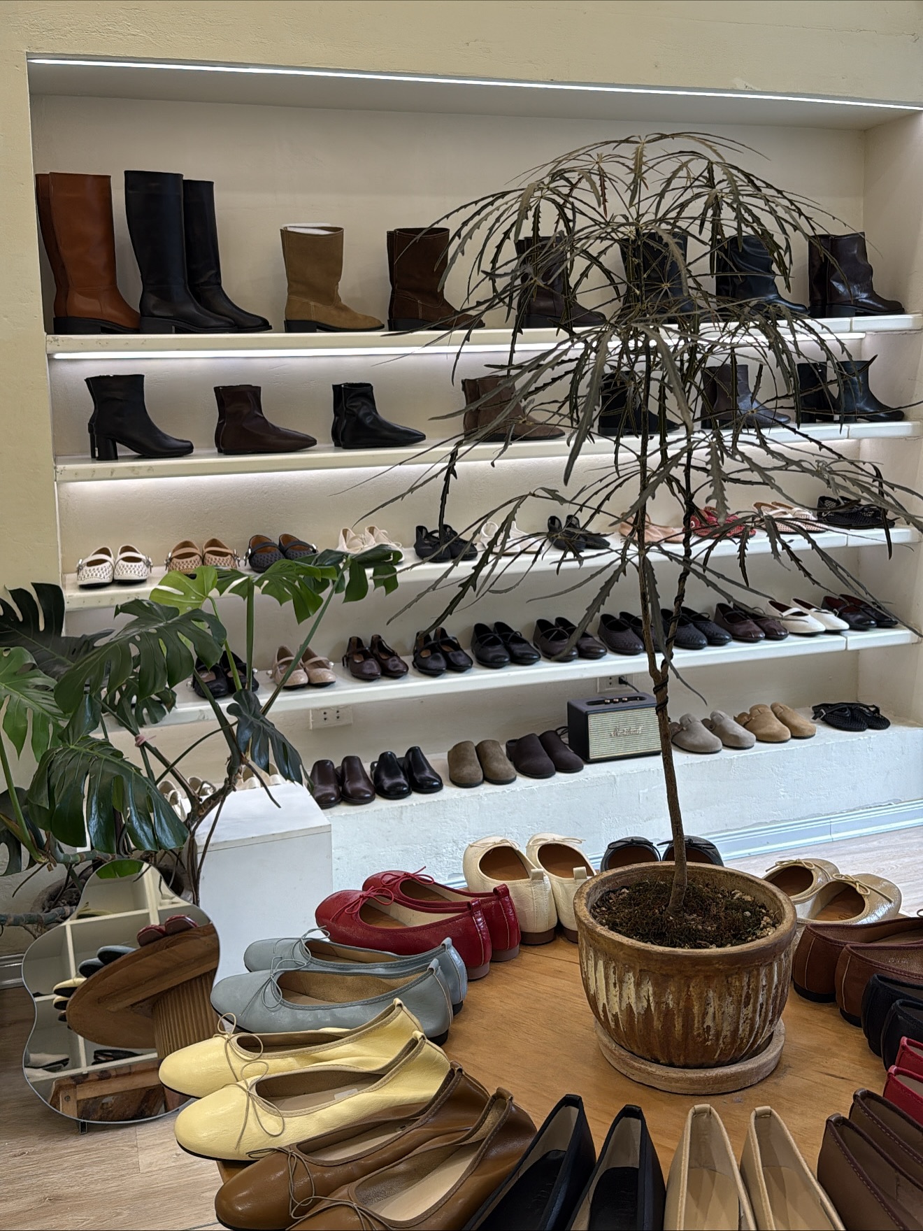 Better Shoes ảnh 2