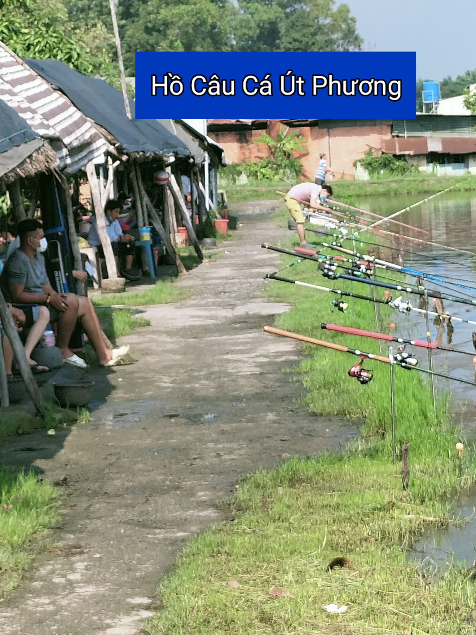 Câu cá giải trí Út Phương ảnh 1