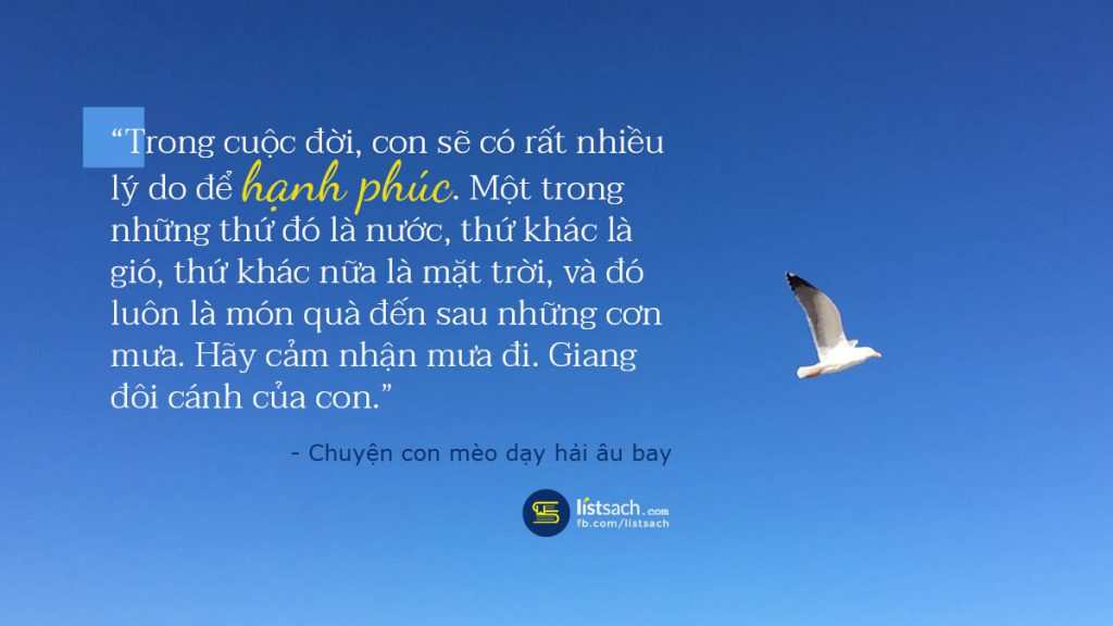 Chuyện con mèo dạy hải âu bay ảnh 2