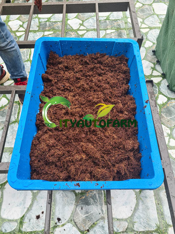 Cityautofarm ảnh 2