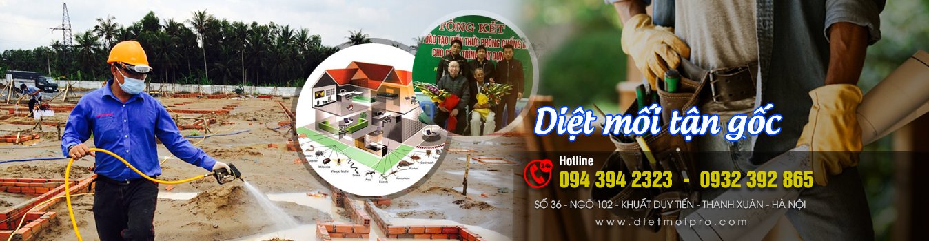 Công Ty CP Đầu Tư Và Phát Triển Công Nghệ An Phúc ảnh 1