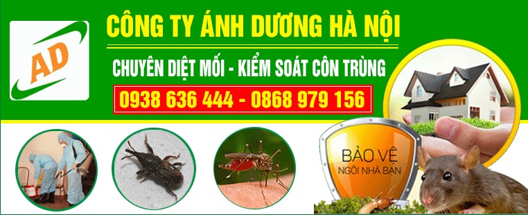 Công Ty Cổ Phần Ánh Dương Hà Nội ảnh 1