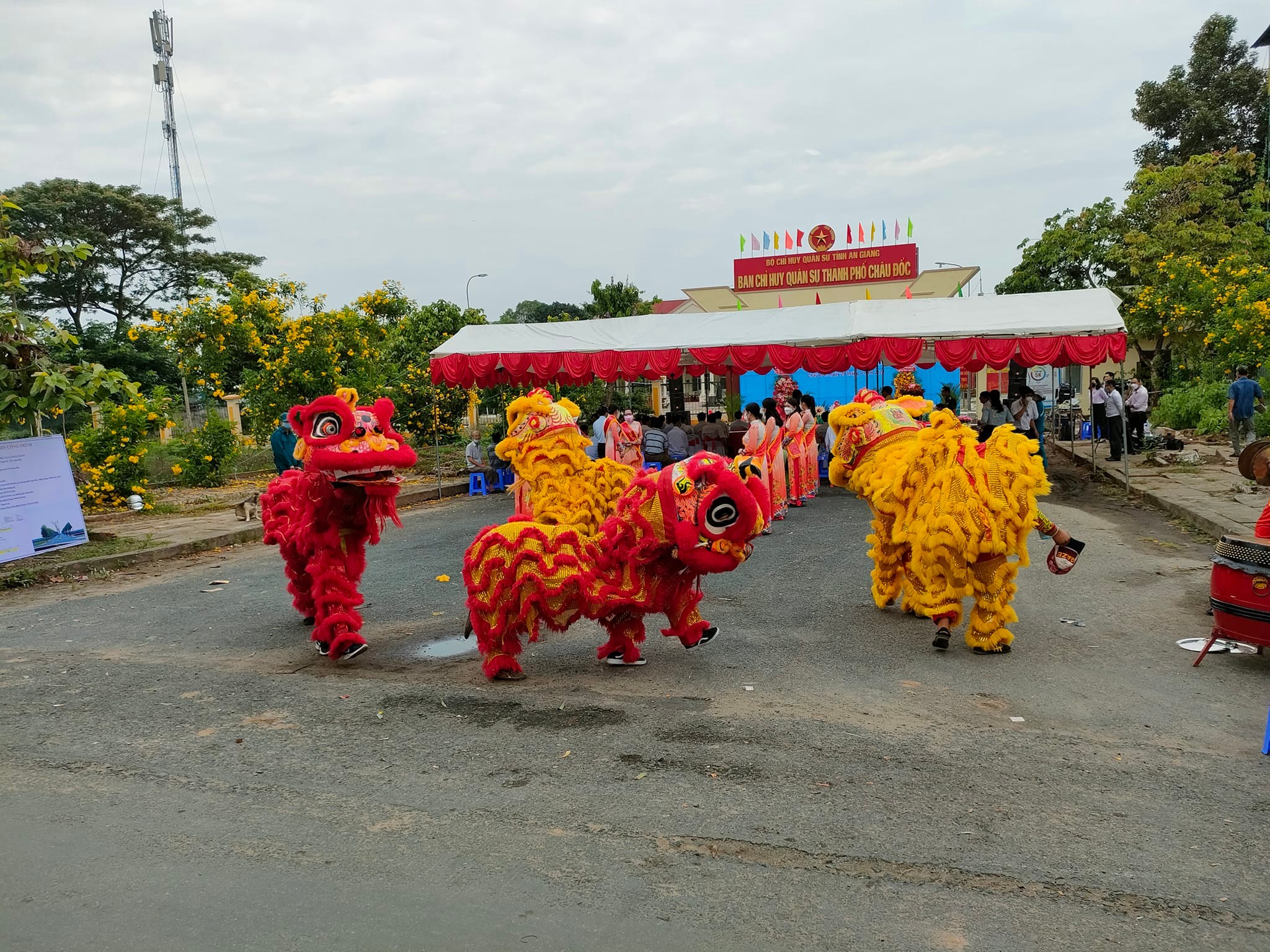 Đoàn Nghệ Thuật Lân Sư Rồng Miếu Bảy Bà ảnh 2