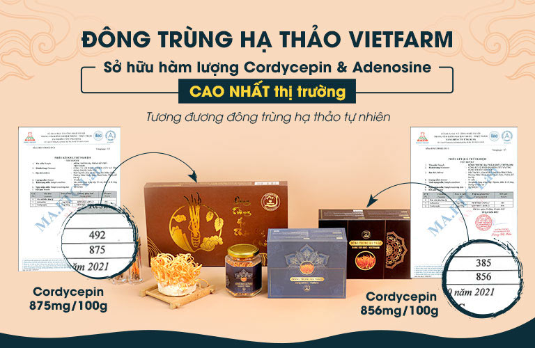 Đông Trùng Hạ Thảo Vietfarm ảnh 2