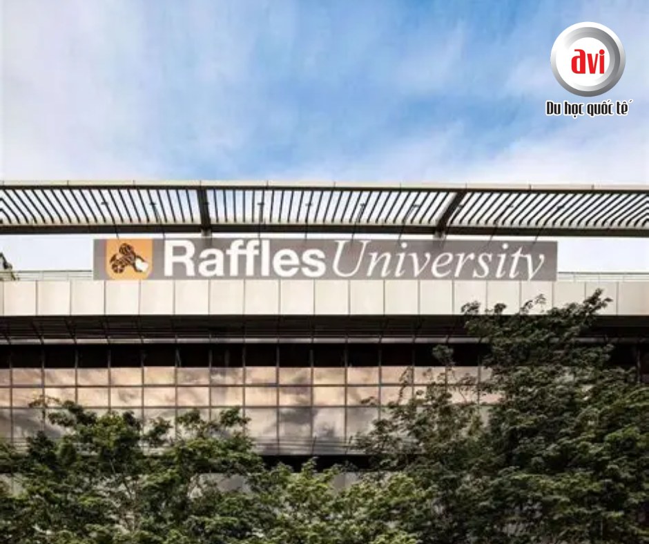 Du Học Quốc Tế AVI ảnh 1
