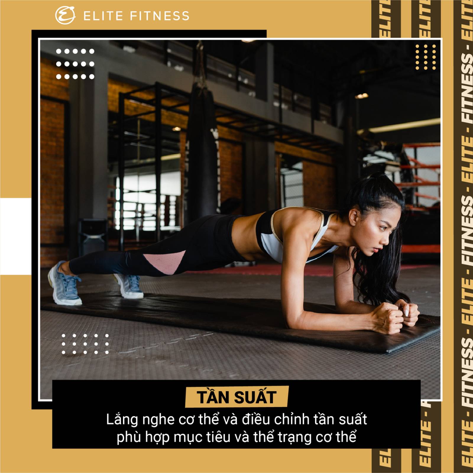 Elite Fitness ảnh 1