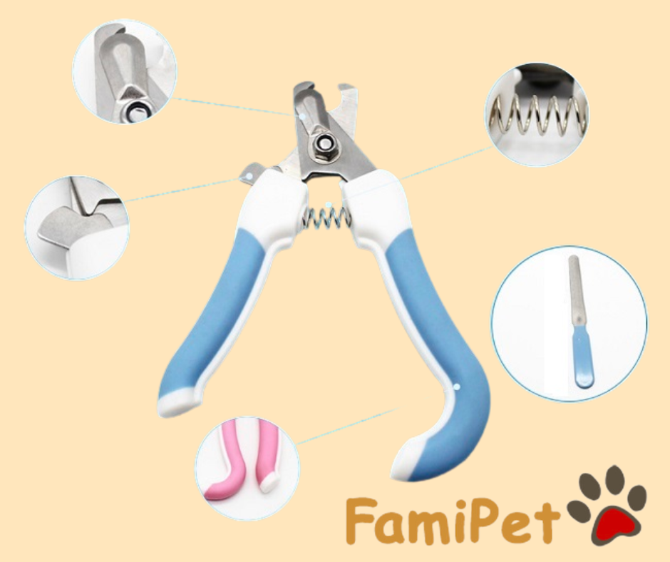 FamiPet - Siêu Thị Cho Thú Cưng ảnh 2