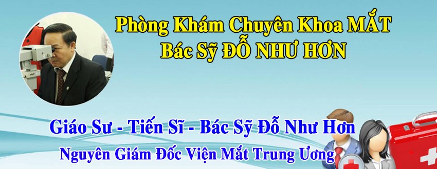 Giáo sư, Tiến sĩ Đỗ Như Hơn ảnh 2