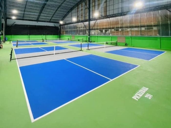 Sân Pickleball 291 ảnh 2