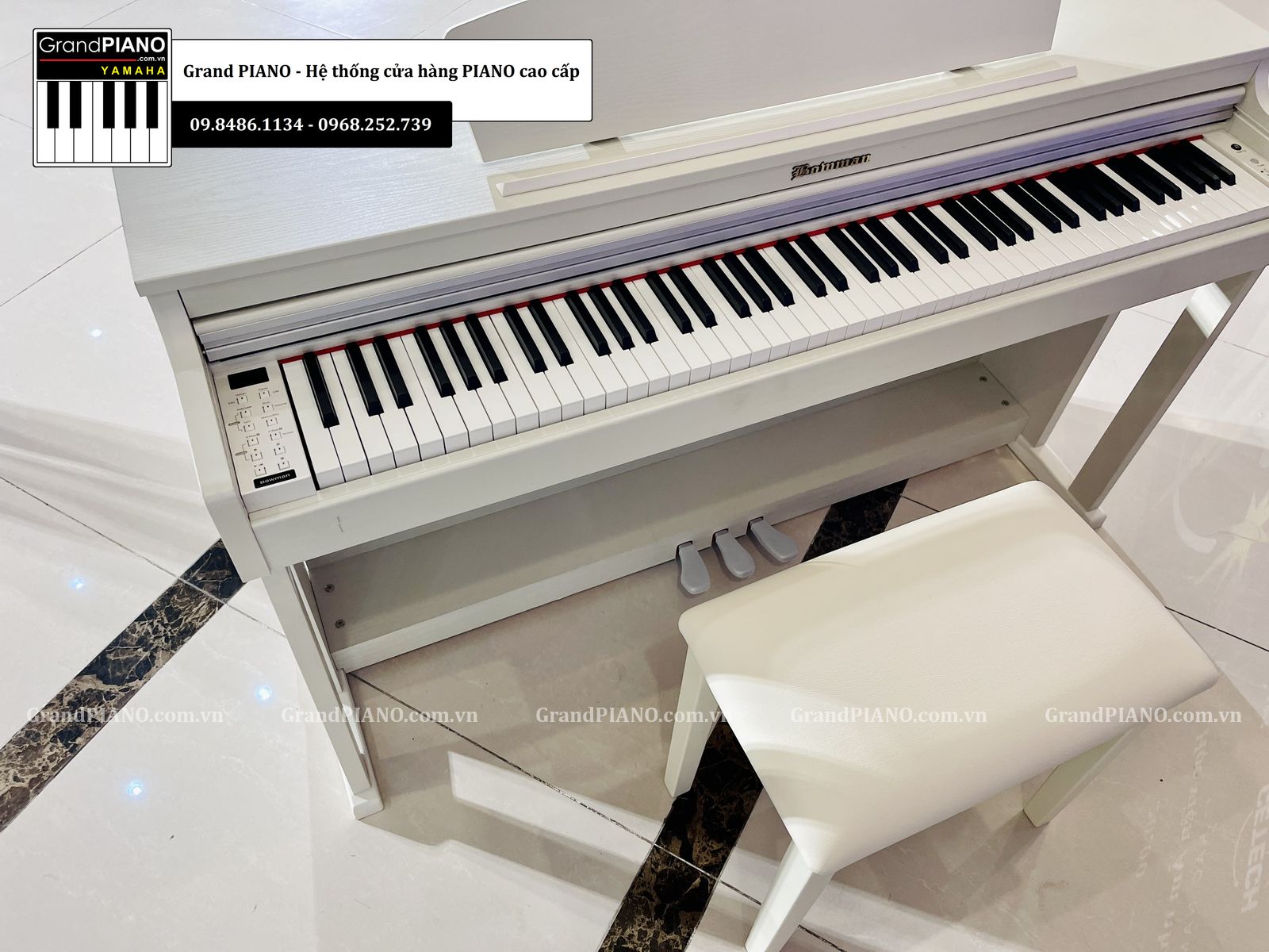 Grand PIANO ảnh 2