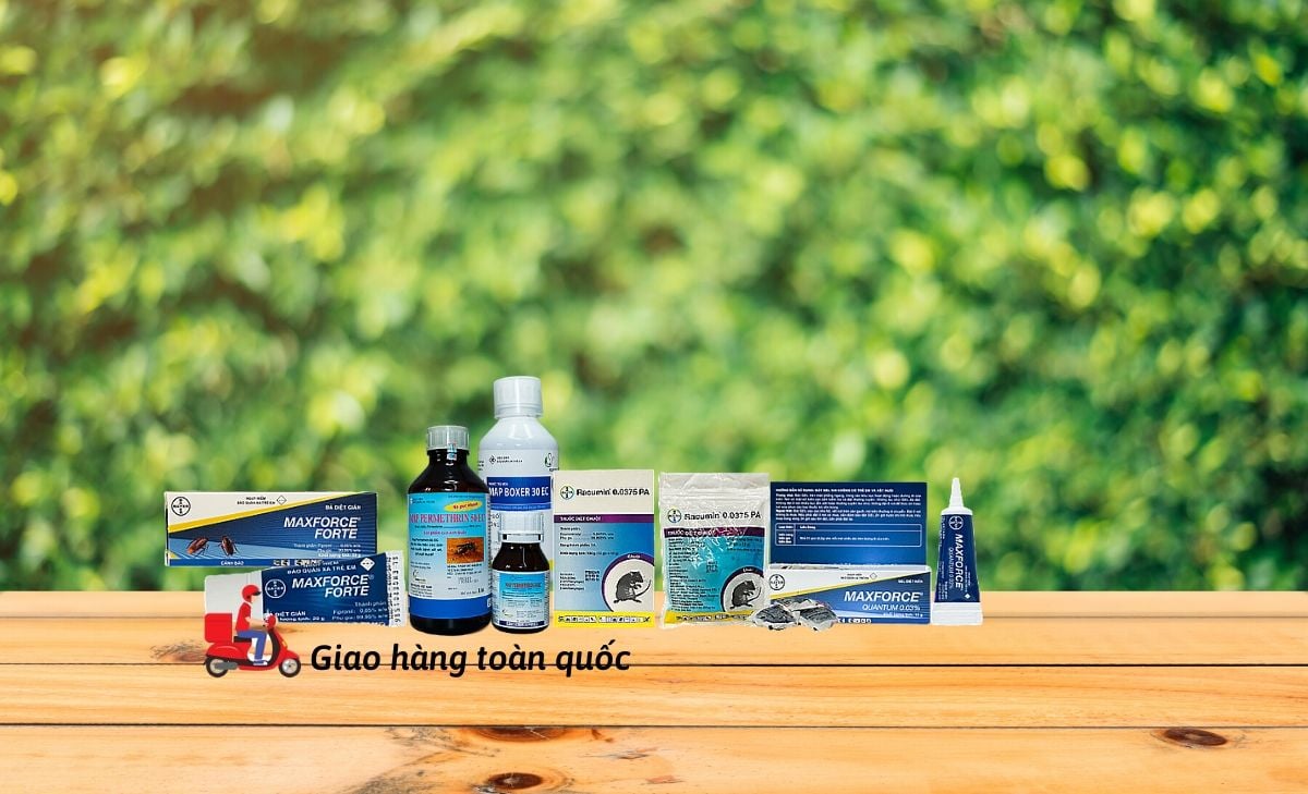 Hanoi Pest Control ảnh 1