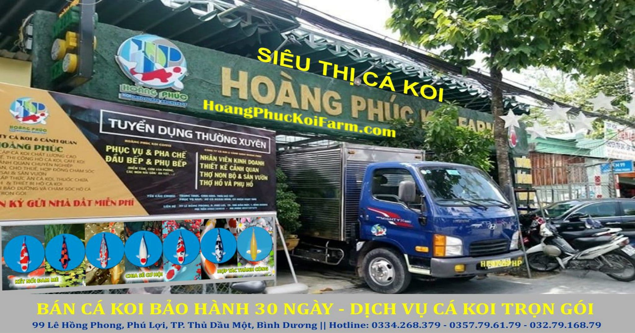 Hoàng Phúc Koi Farm ảnh 2