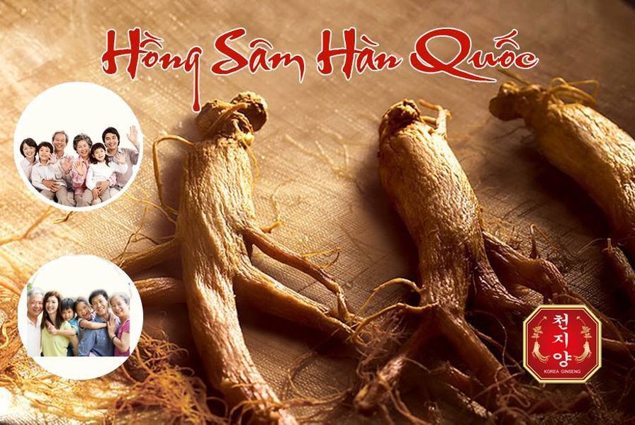 Hồng Sâm Hàn Quốc K-GIN ảnh 1