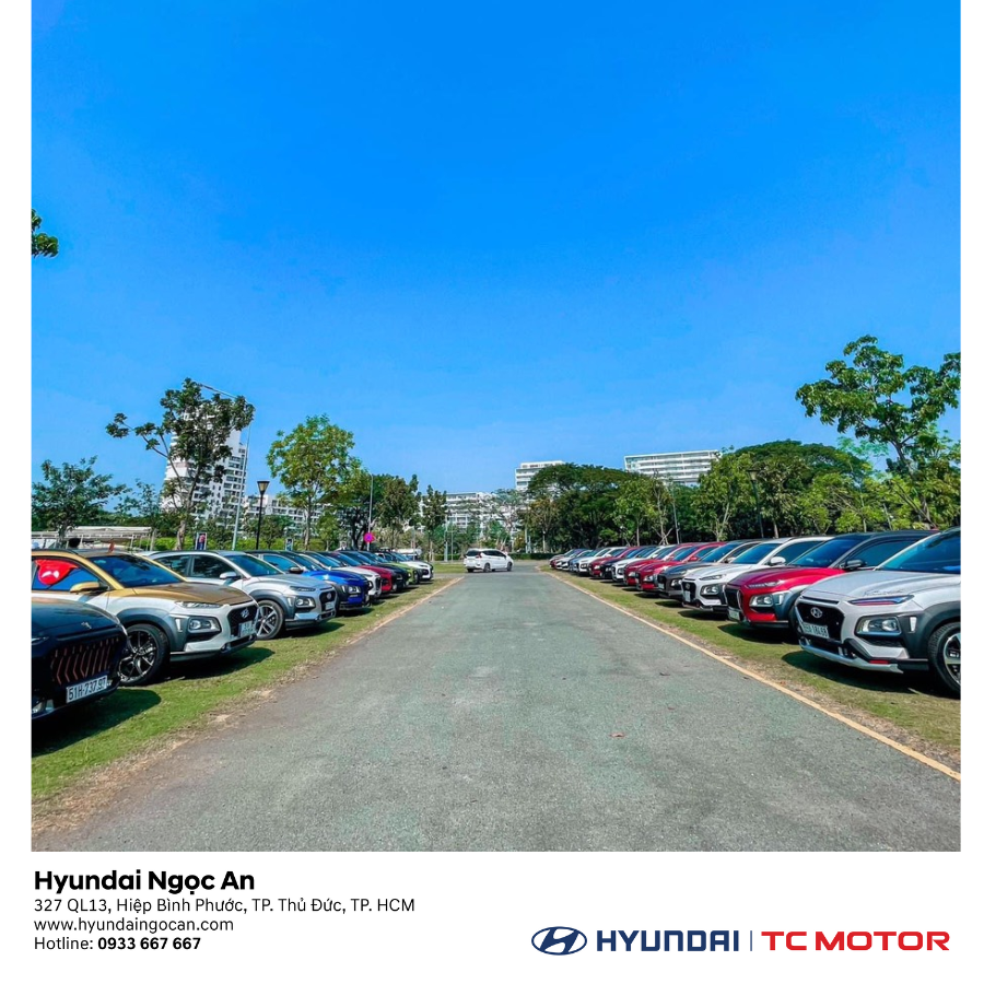 Hyundai Ngọc An ảnh 1