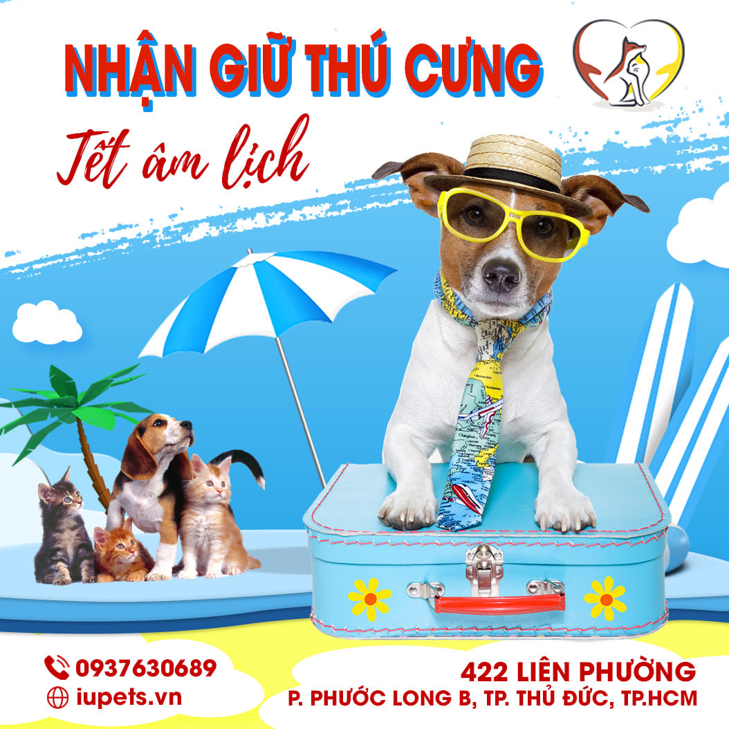 Dịch vụ trông giữ thú cưng ngày Tết uy tín nhất tại TP. HCM