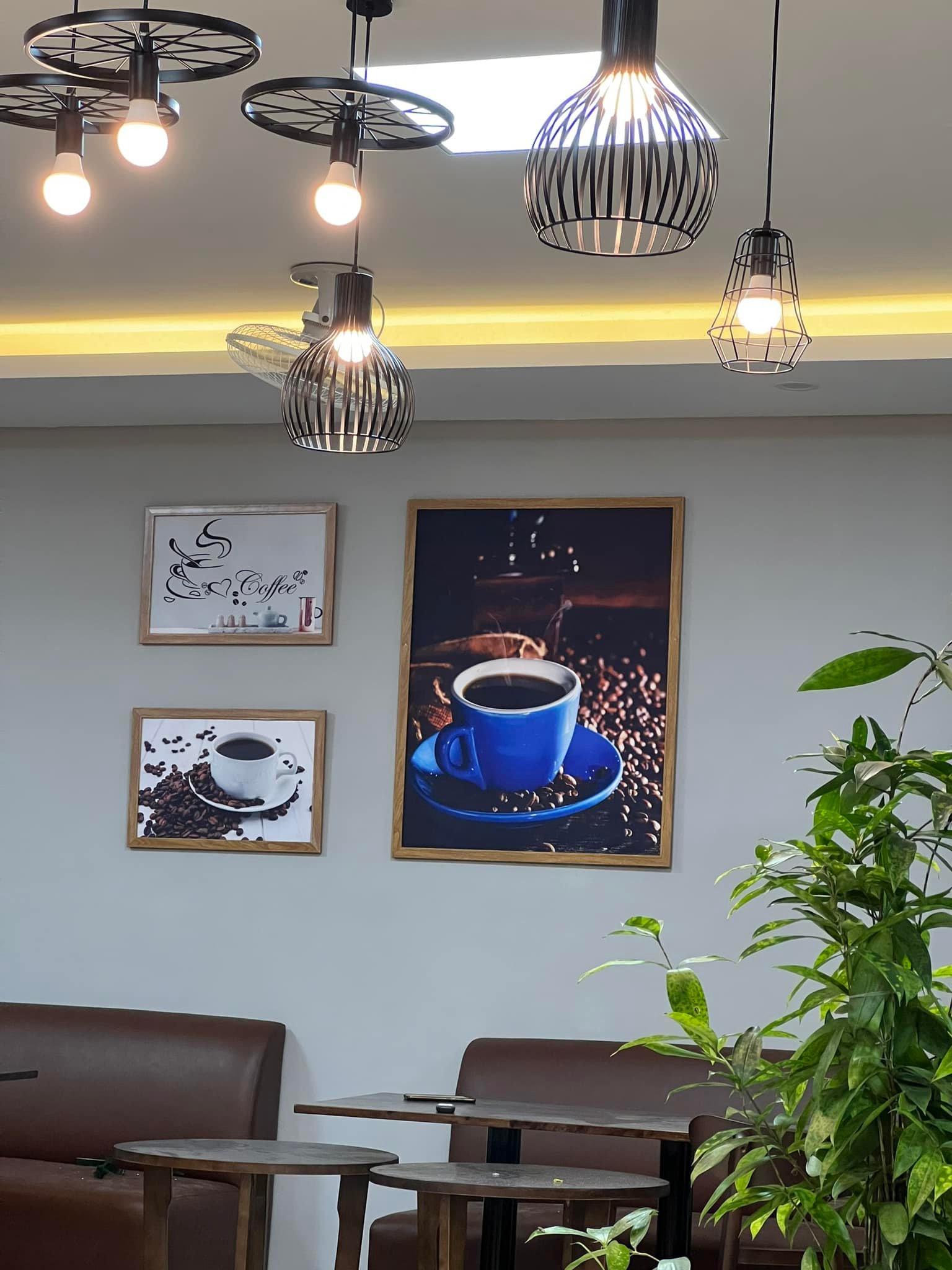 In Nguyên Bảo ảnh 1