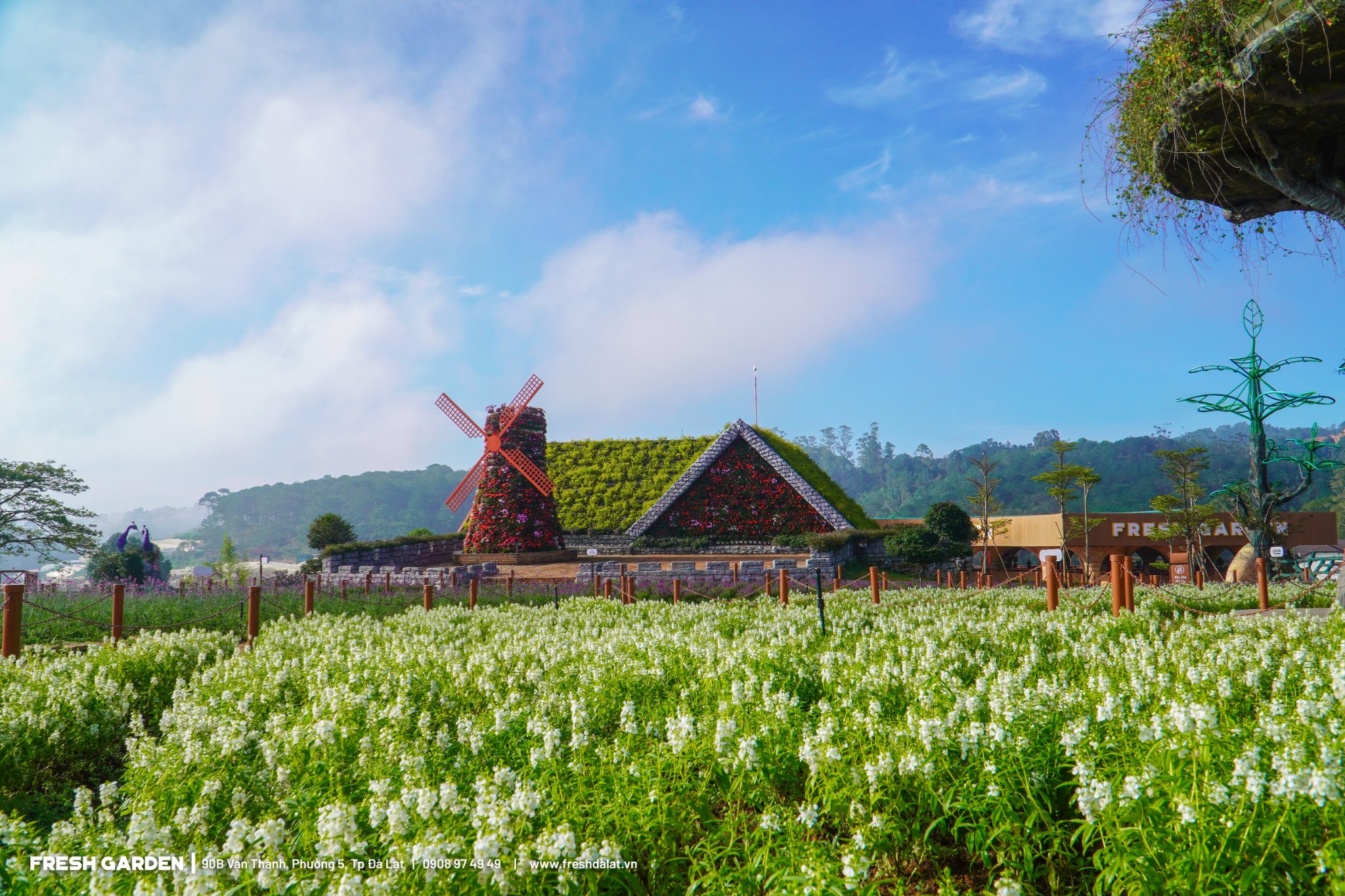 Khu du lịch Fresh Garden Dalat ảnh 2