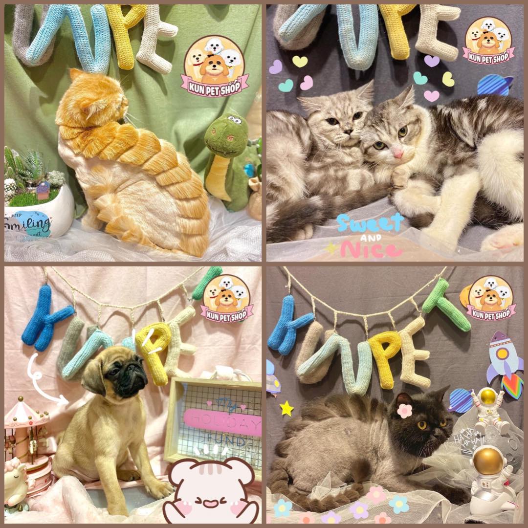 Kun Pet Shop ảnh 1