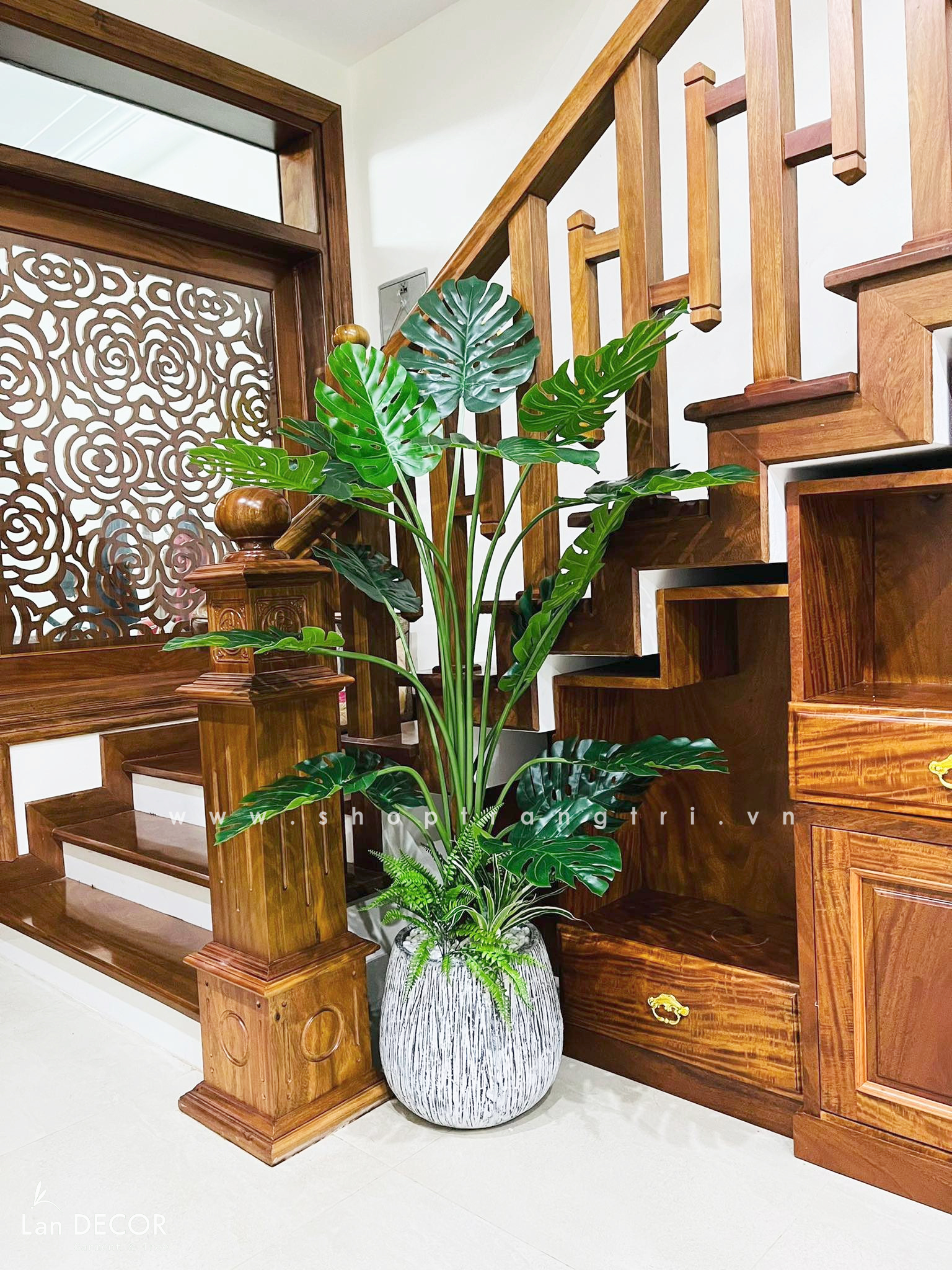 Lan Décor ảnh 1