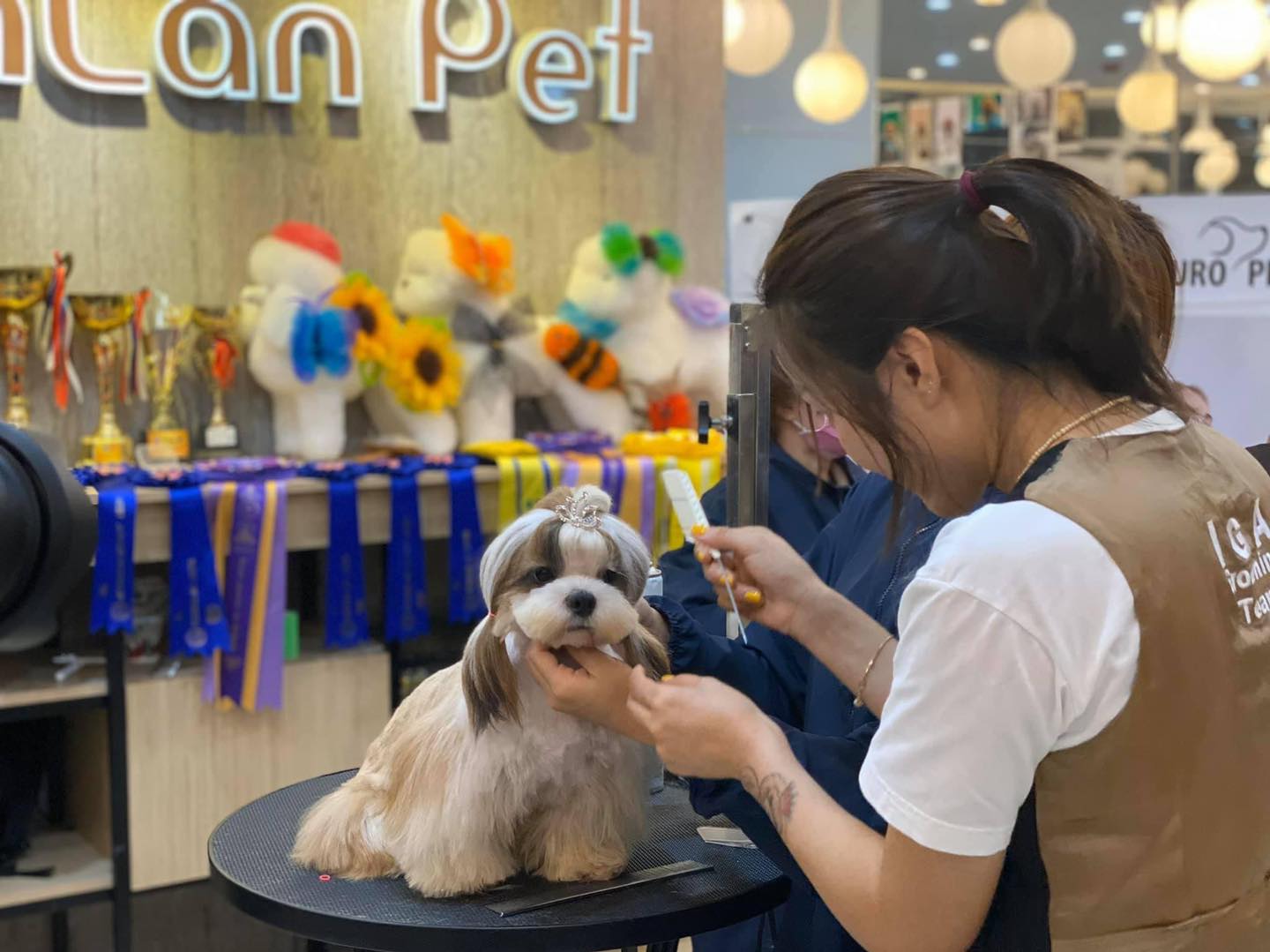 Lanlan Pet ảnh 1