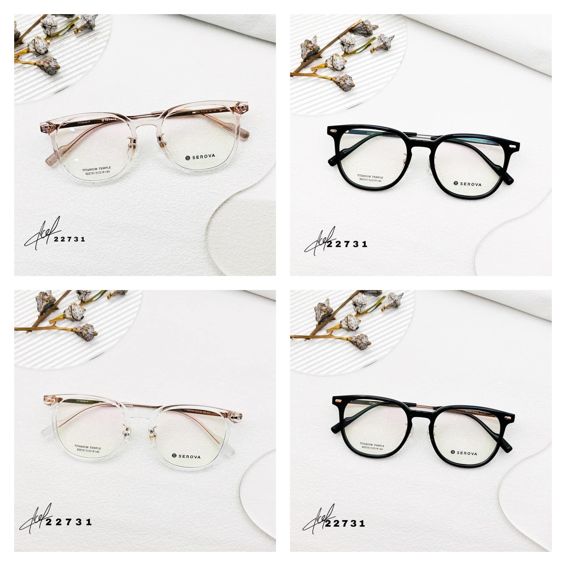 Mắt kính Salem Optical ảnh 1