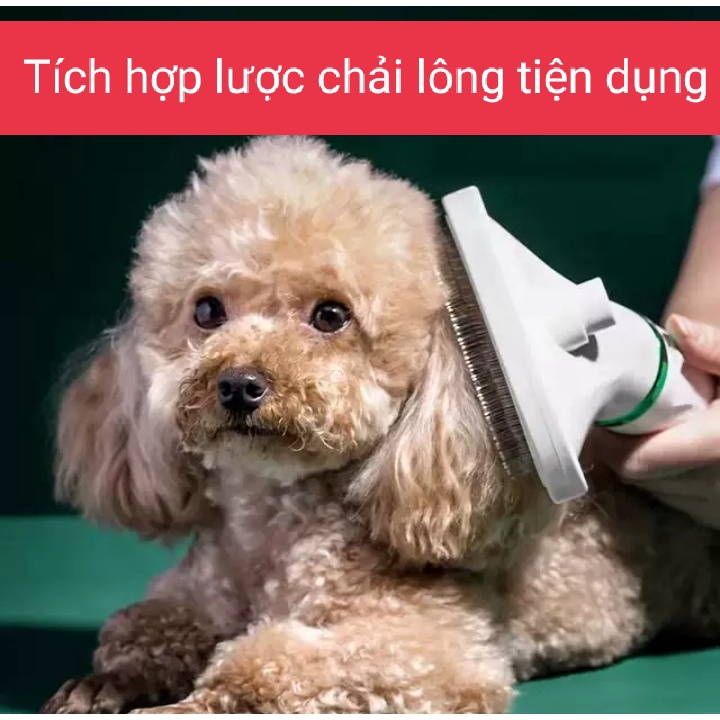 Máy Sấy Lông Chó Kiêm Lược ảnh 1