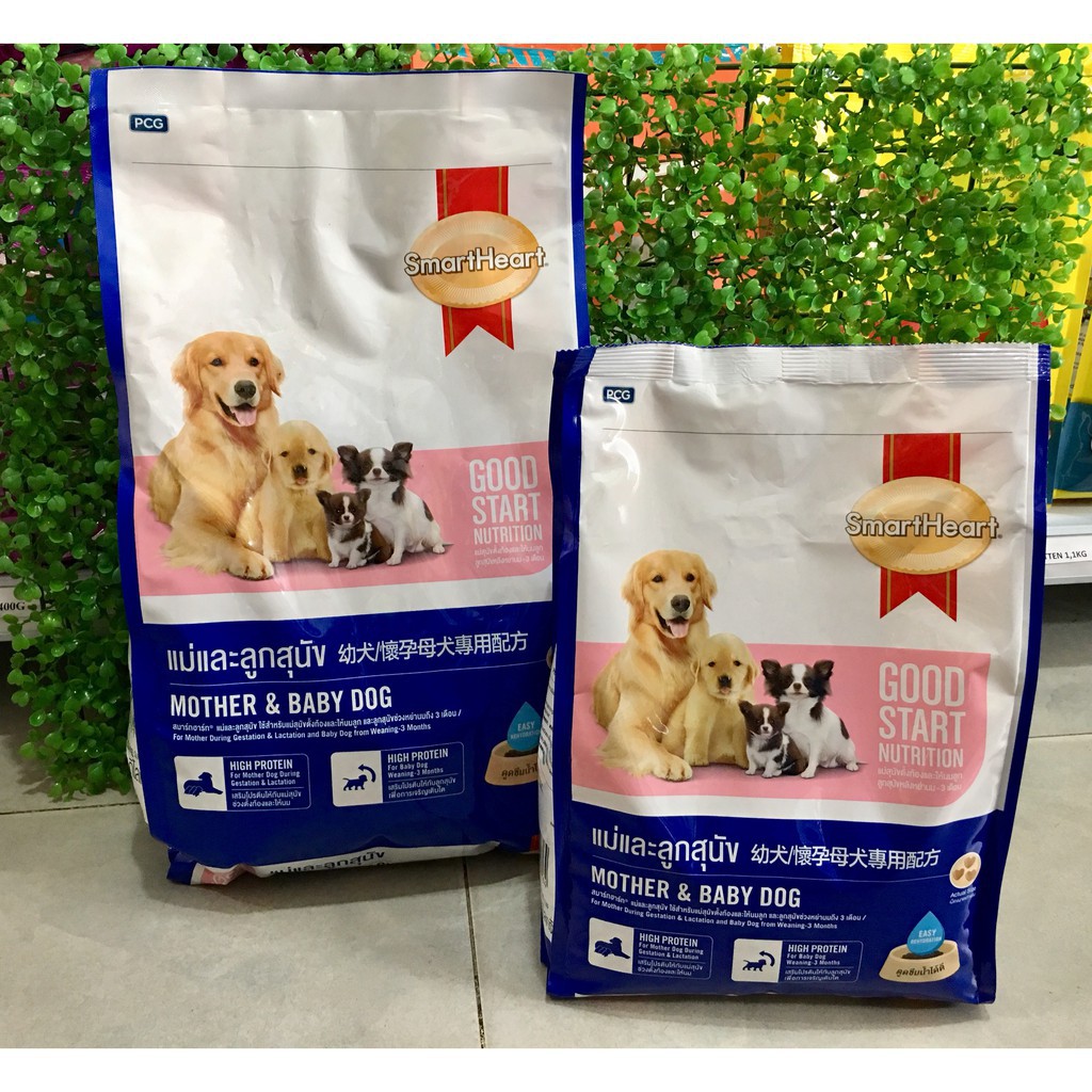 Mèo Cún Pet Shop ảnh 2