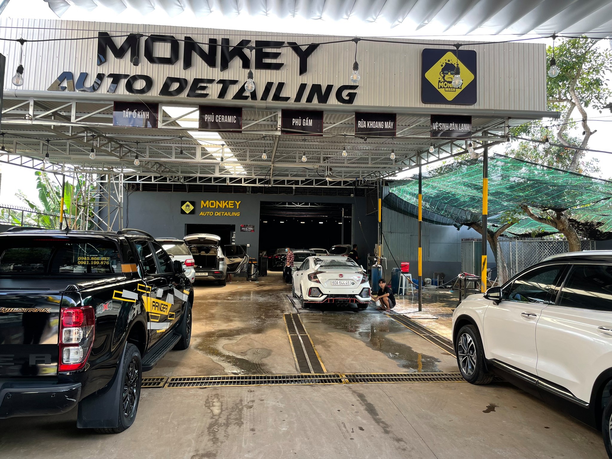 Monkey Detailing ảnh 1