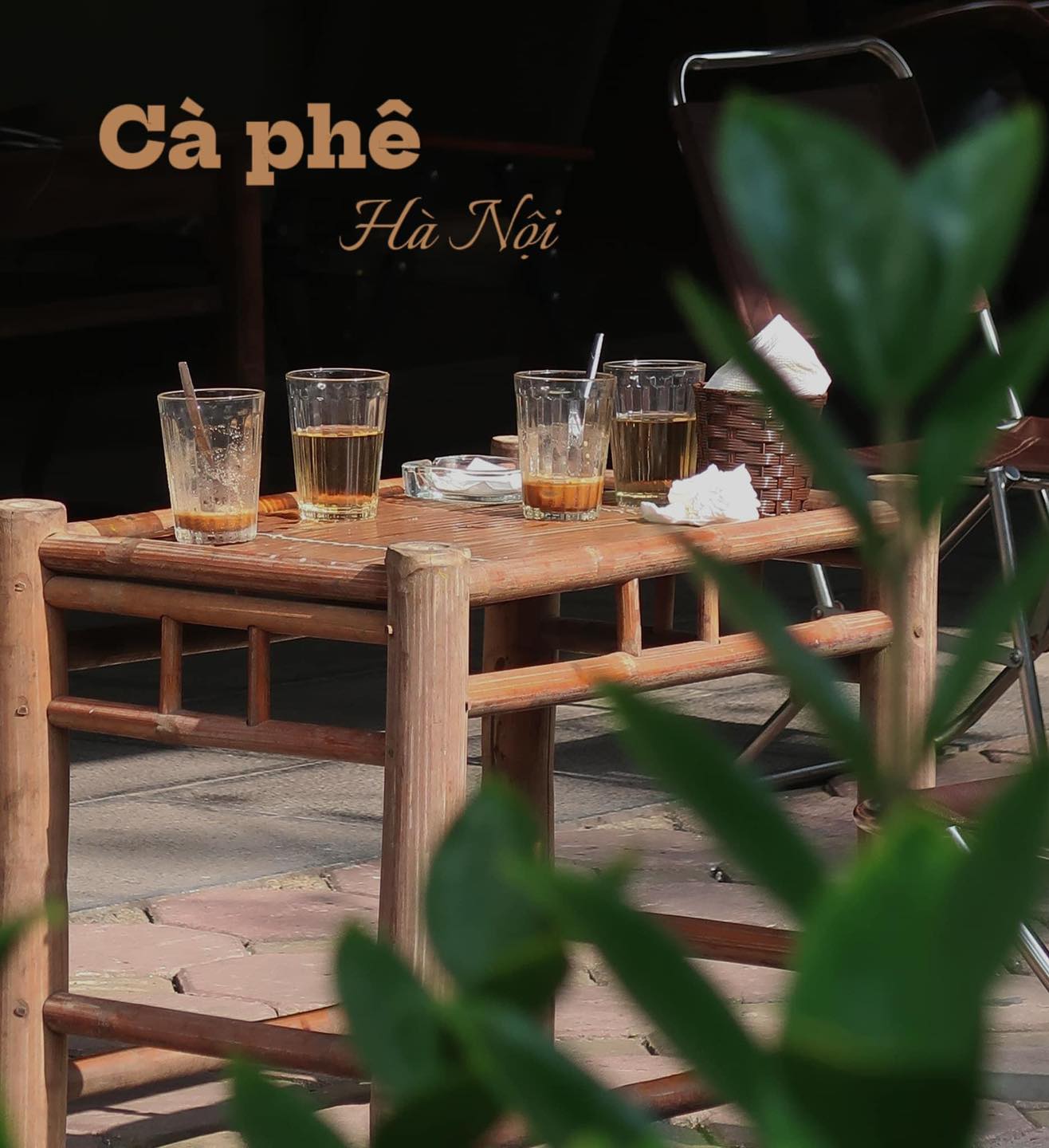 Nghiền Cafe GreenHouse ảnh 1