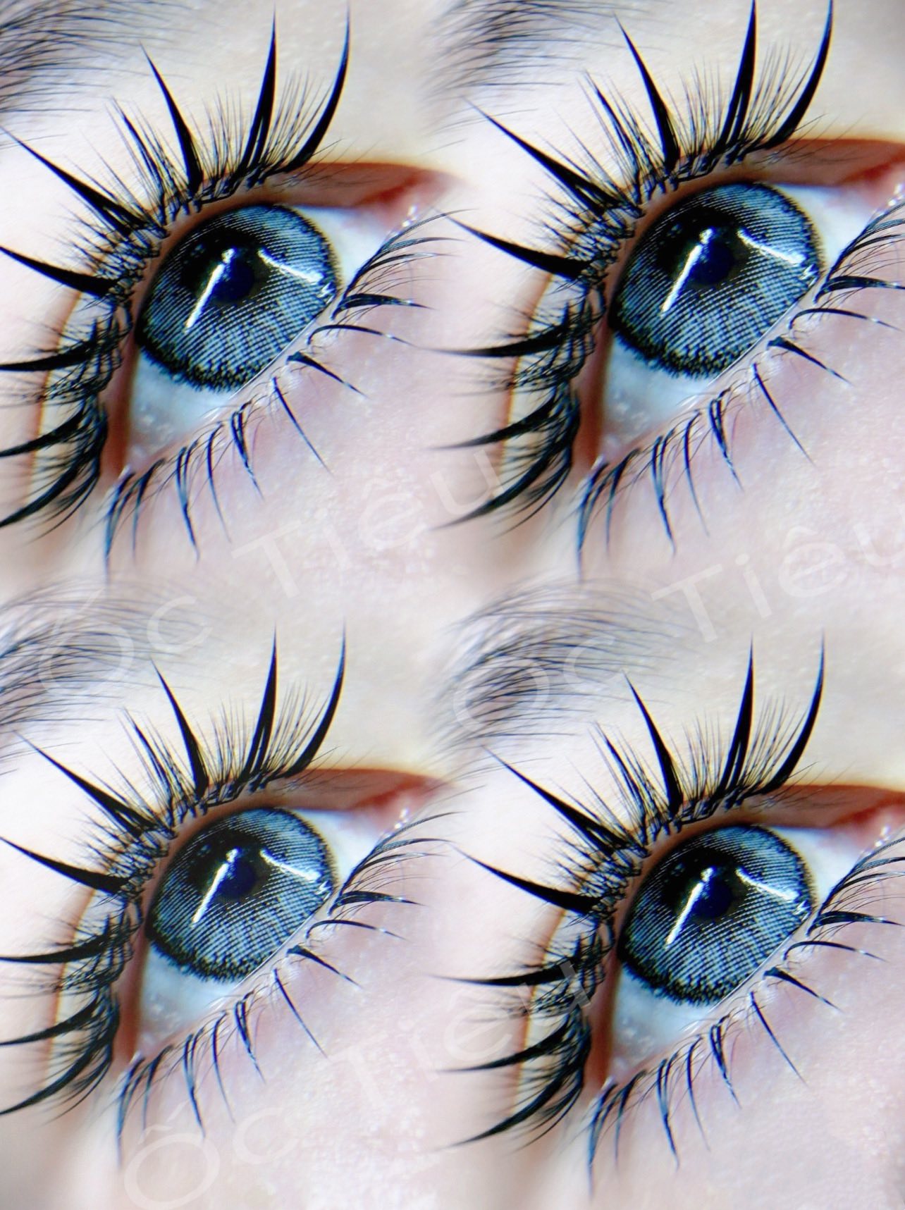 Nối Mi Ốc Tiêu ảnh 2