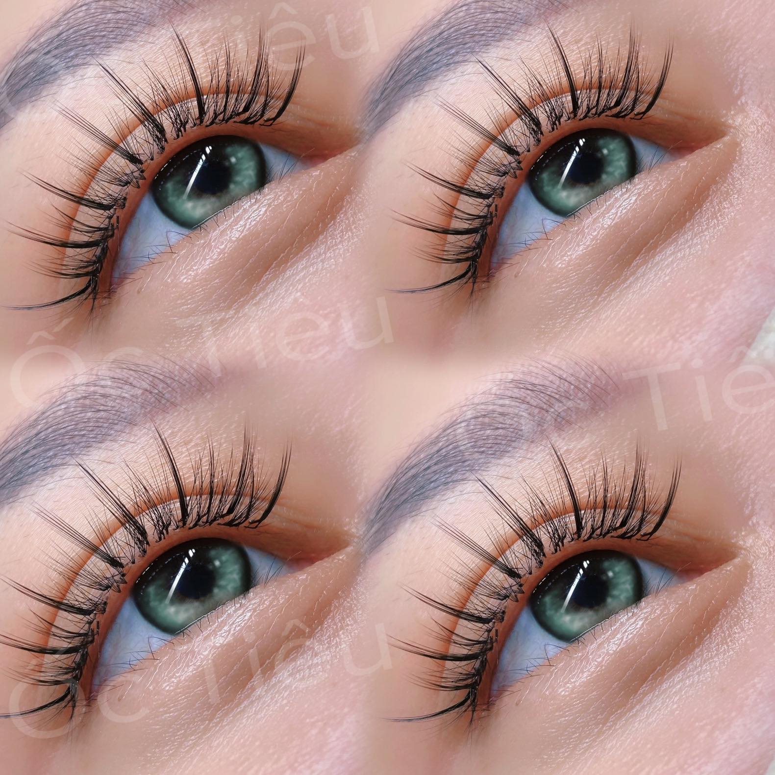 Nối Mi Ốc Tiêu ảnh 1