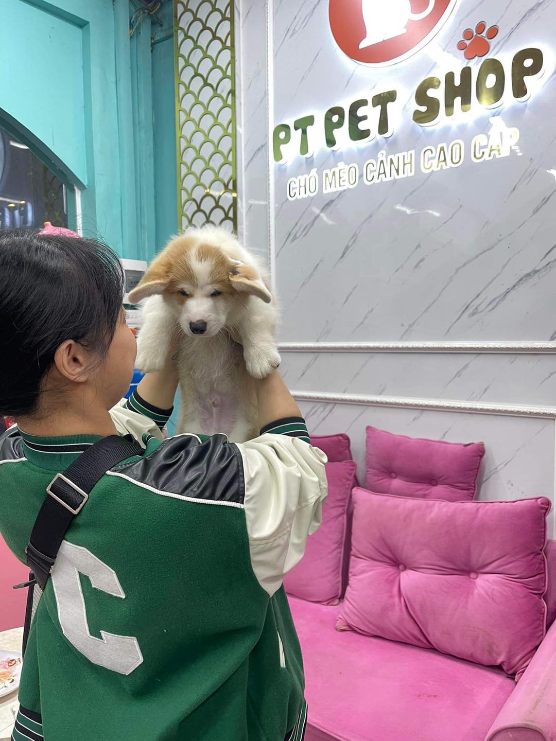 PT Pet Shop ảnh 1