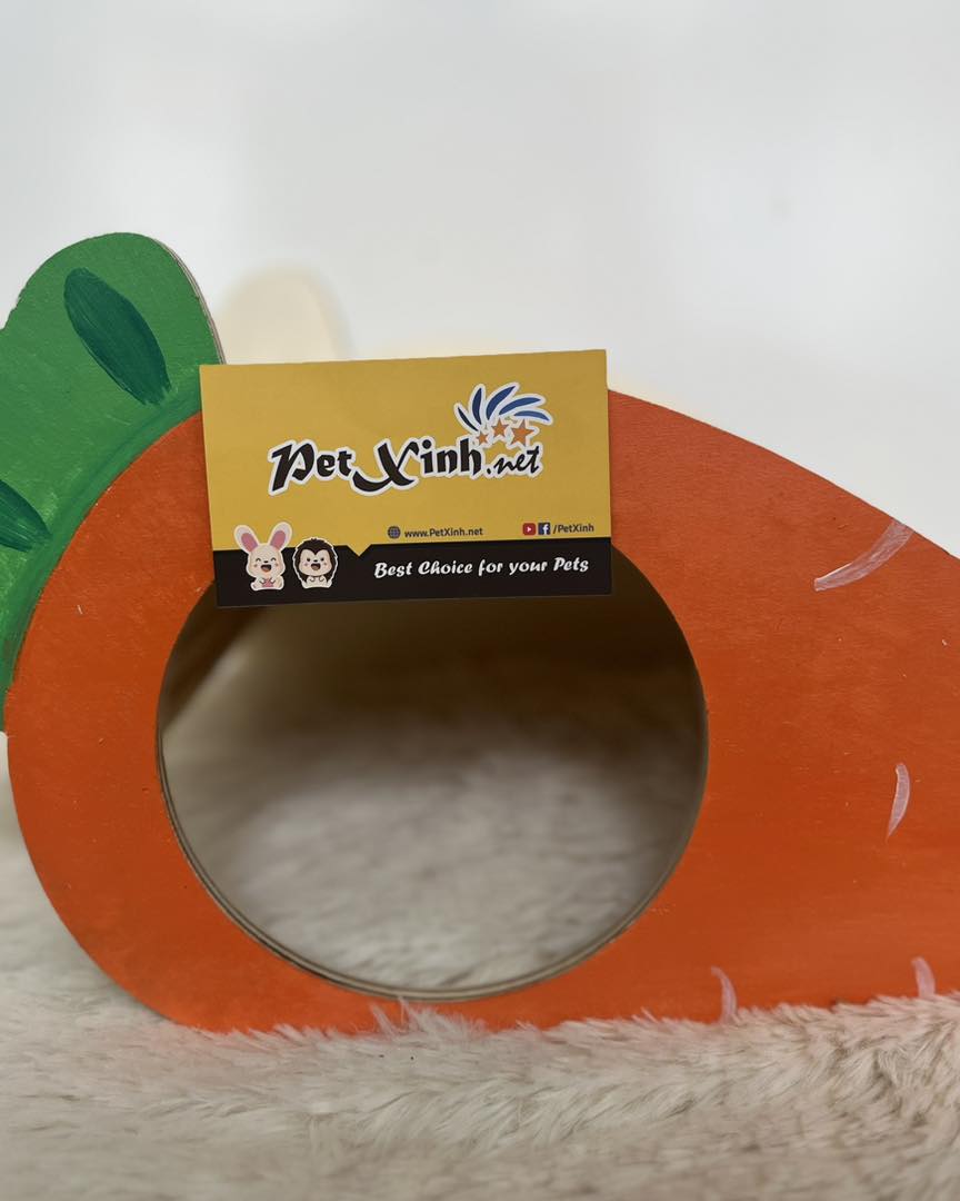 PetXinh ảnh 2