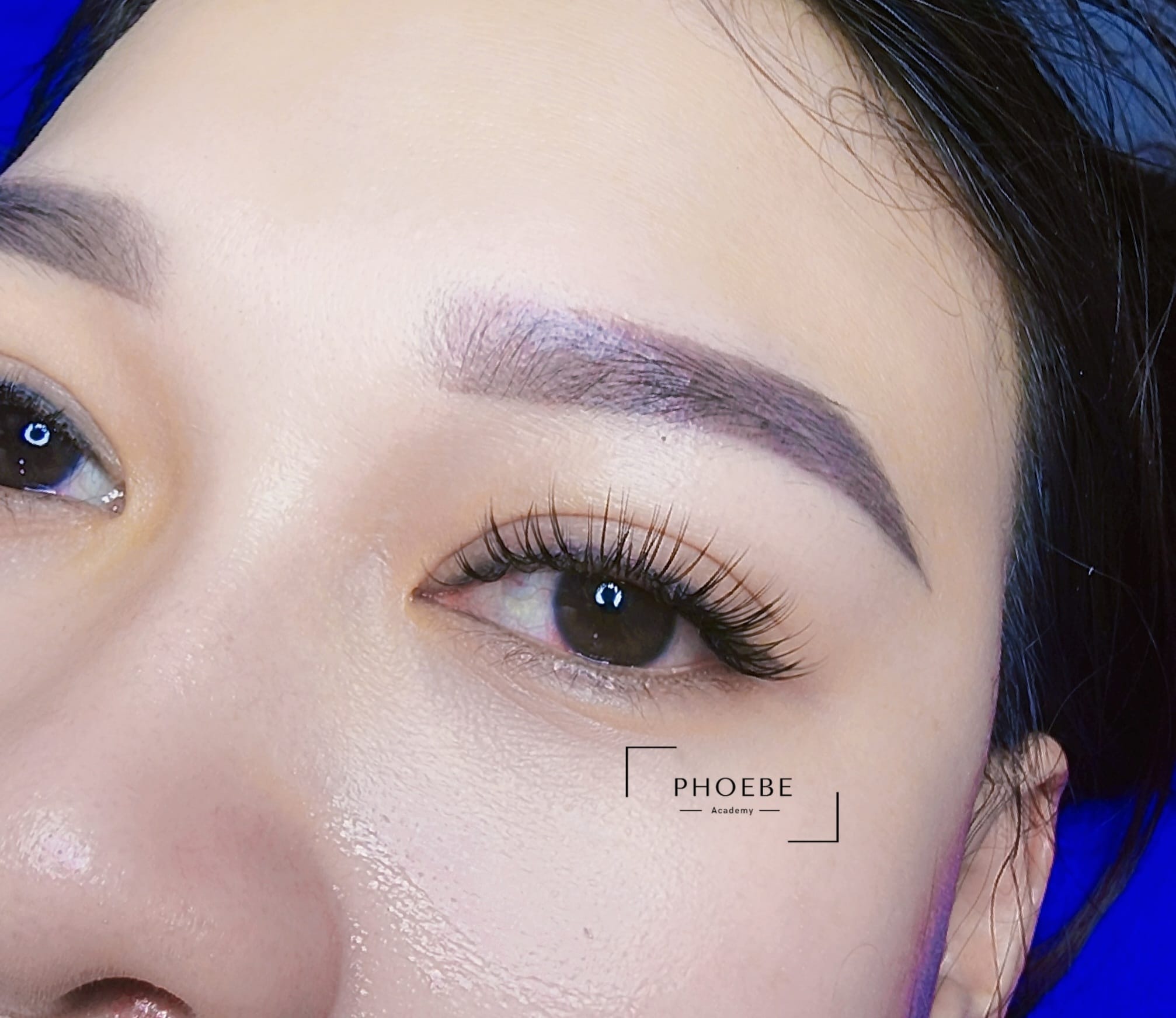 Phoebe Eyelash ảnh 1