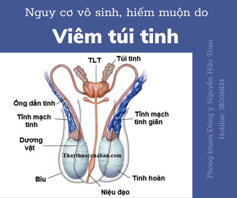 Phòng Khám Đông Y Nguyễn Hữu Toàn ảnh 2